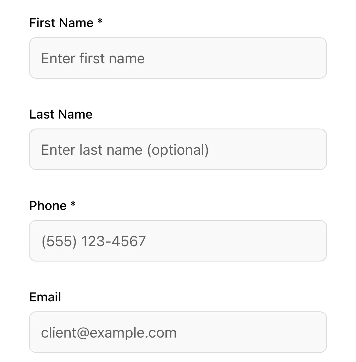 The client form with First Name, Last Name, Phone and Email